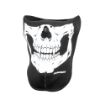 Picture of Skull Print Mask